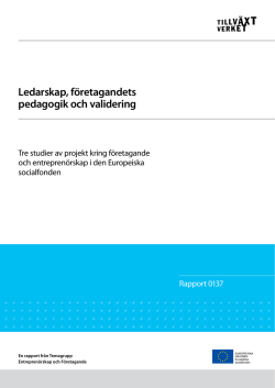 Ledarskap, företagandets pedagogik och validering