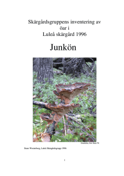 8. 1996 Junkön och Stor-Skorvgrundet