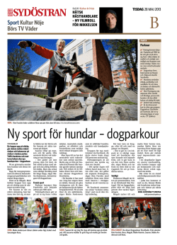 Ny sport för hundar – dogparkour