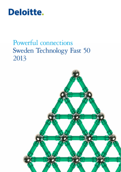 Powerful connections Sweden Technology Fast 50 2013