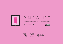 Pink Guide 2013
