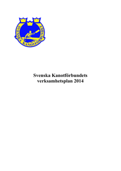 SKF verksamhetsplan 2014
