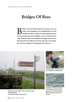 Bridges of Ross (Tomas Kjelsson and Keith Bennett)
