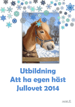 Utbildning Att ha egen häst Jullovet 2014
