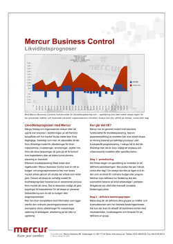 Mercur Business Control