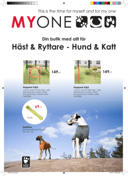 Häst & Ryttare - Hund & Katt