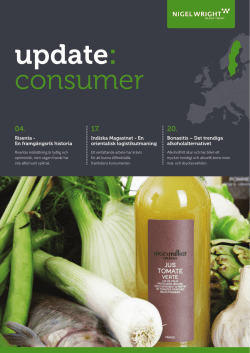 Sweden Consumer Update 2013
