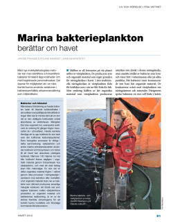 Marina bakterieplankton berättar om havet
