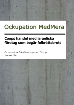 Ockupation MedMera - Palestinagrupperna i Sverige