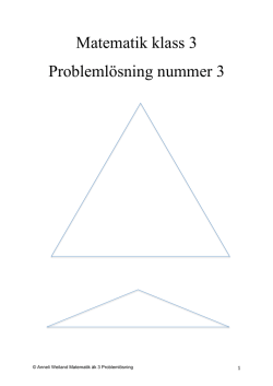 Matematik klass 3 Problemlösning nummer 3