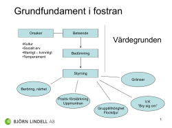 Björn Lindell åhörarkopior(418 kB, pdf)