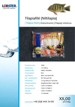 Tilapiafilé (Niltilapia) - Lobster Seafood Sweden AB