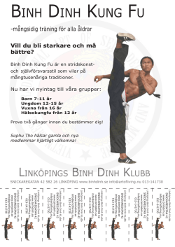 BINH DINH KUNG FU - Linköpings Binh Dinh Klubb