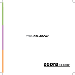 zebrabrandbook