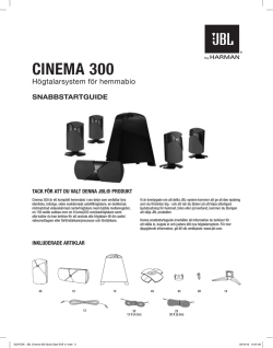 Cinema 300