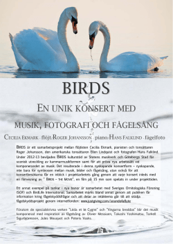 birds - Hans Falklind