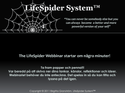 Life Spider System