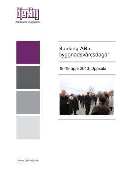 Rapport byggnadsvårdsdagar 2013