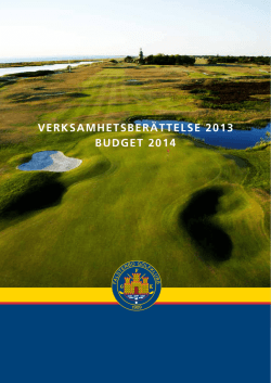 Verksamhetsberättelse 2013 budget 2014