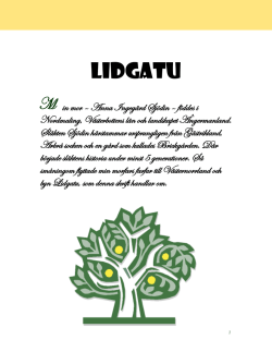 pdf-Lidgatu