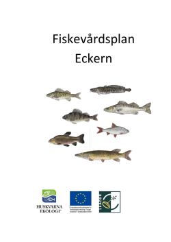 Fiskevårdsplan Eckern - Leader Västra Småland LEADER Västra