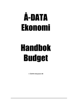 Å-DATA Ekonomi Handbok Budget