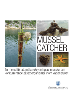 "Musselcatcher". - Vattenbrukscentrum Väst