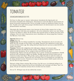 odlingsanvisning tomat