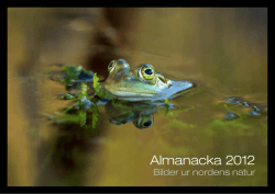 Almanacka 2012 - Naturfotograf Hasse Andersson