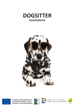 DOGSITTER - Finlands Svenska 4H