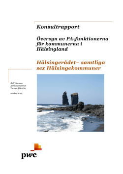 PWC Rapport PA Hälsingland.pdf