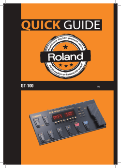 GT-100 Svensk Quick Guide