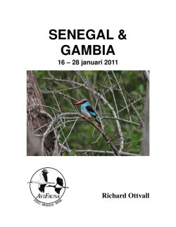 SENEGAL & GAMBIA