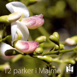 12 parker i Malmö