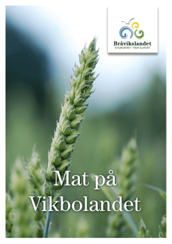 Mat på Vikbolandet - Upplev Norrköping