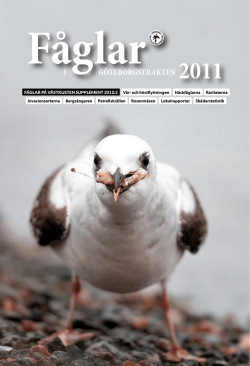 Ladda ner PDF – 2,07 MB - Göteborgs Ornitologiska Förening