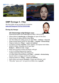 GIMP Övningar 5 - Filter