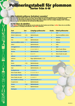 Pollineringstabell för plommon