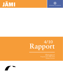 Jämi-Rapport nr 4/2010 Slutrapport - Jämställdhetsintegrering i staten