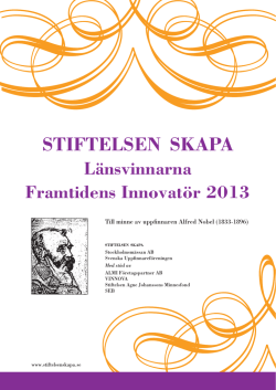 SKAPA Framtidens Innovatör 2013
