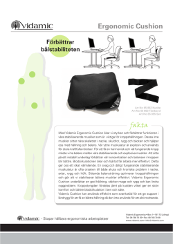 Ergonomic Cushion PDF
