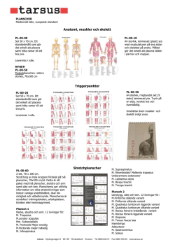 Anatomi, muskler och skelett Triggerpunkter Stretchplanscher