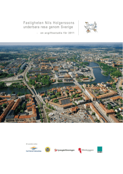 Här finns rapporten (version 2011-10-31).
