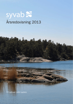 Årsredovisning 2013.pdf
