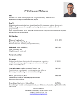 CV för Emanuel Mahzoun