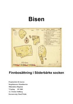 Bisen, finnbosättning i Söderbärke socken