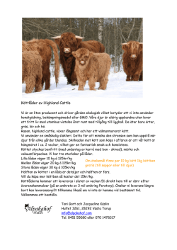 Köttlådor av Highland Cattle