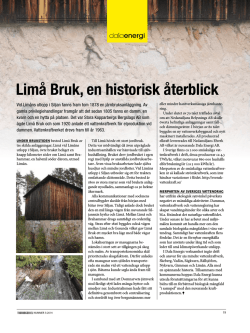 Limå Bruk, en historisk återblick