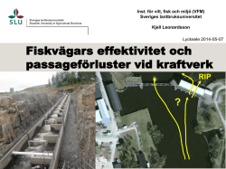Fiskvägars effektivitet och passageförluster vid kraftverk