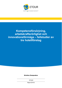fallstudier av tre hotellföretag